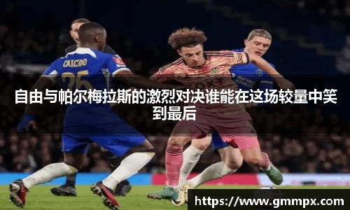 zoty中欧官方网站